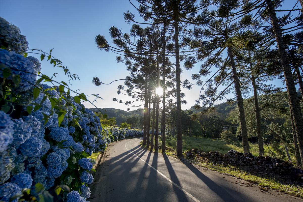 bastidores do Natal Luz de Gramado